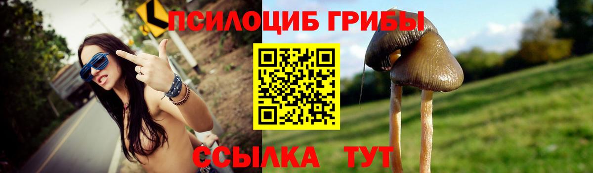 Псилоцибиновые грибы Cubensis Белорецк